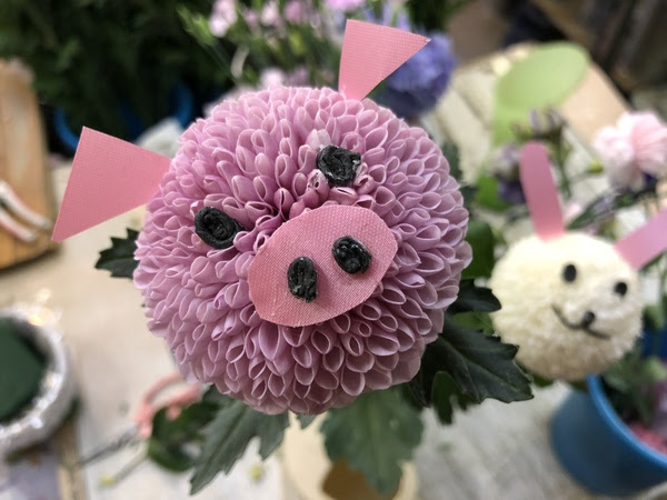 大人気 ピンポンマムキャラクターの新作 花や植物のある こころ豊かな暮らしのご提案 草楽園