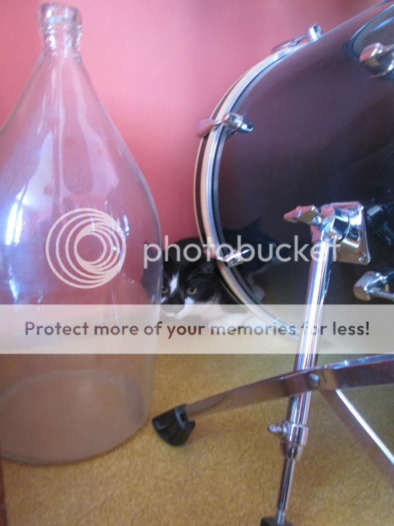 photo IMG_0025_zpsdcaf87bc.jpg