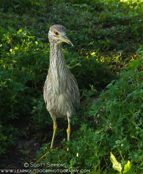 Photo & Video Sharing by SmugMug Photo & Video Sharing by SmugMug