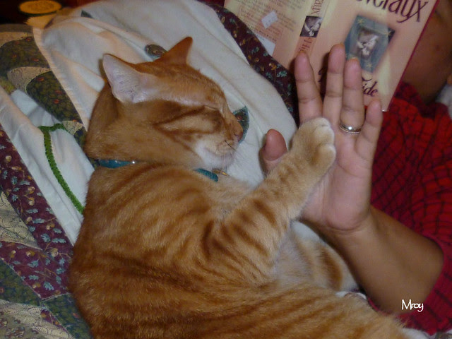 Cuddling wif mama