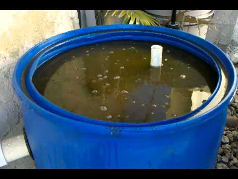 DIY Koi Pond Filter