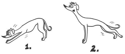 Comic-Whippet-Yoga