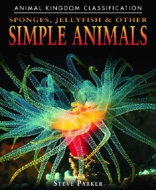 Sponges Jellyfish And Other Simple Animals Animal Kingdom Classification