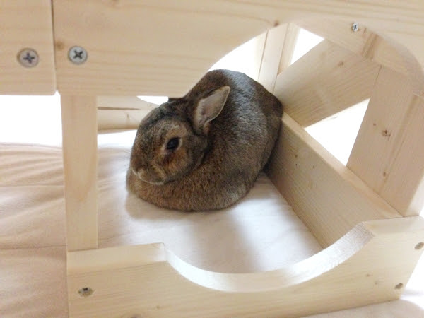 100以上 うさぎ トンネル 手作り ただのトイストーリー