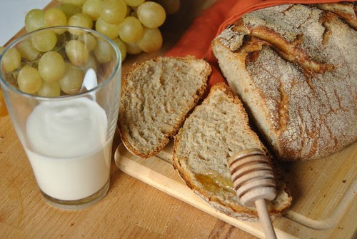 Kefir bread