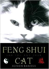 Feng Shui For You And Your Cat