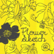 Flower Sketch