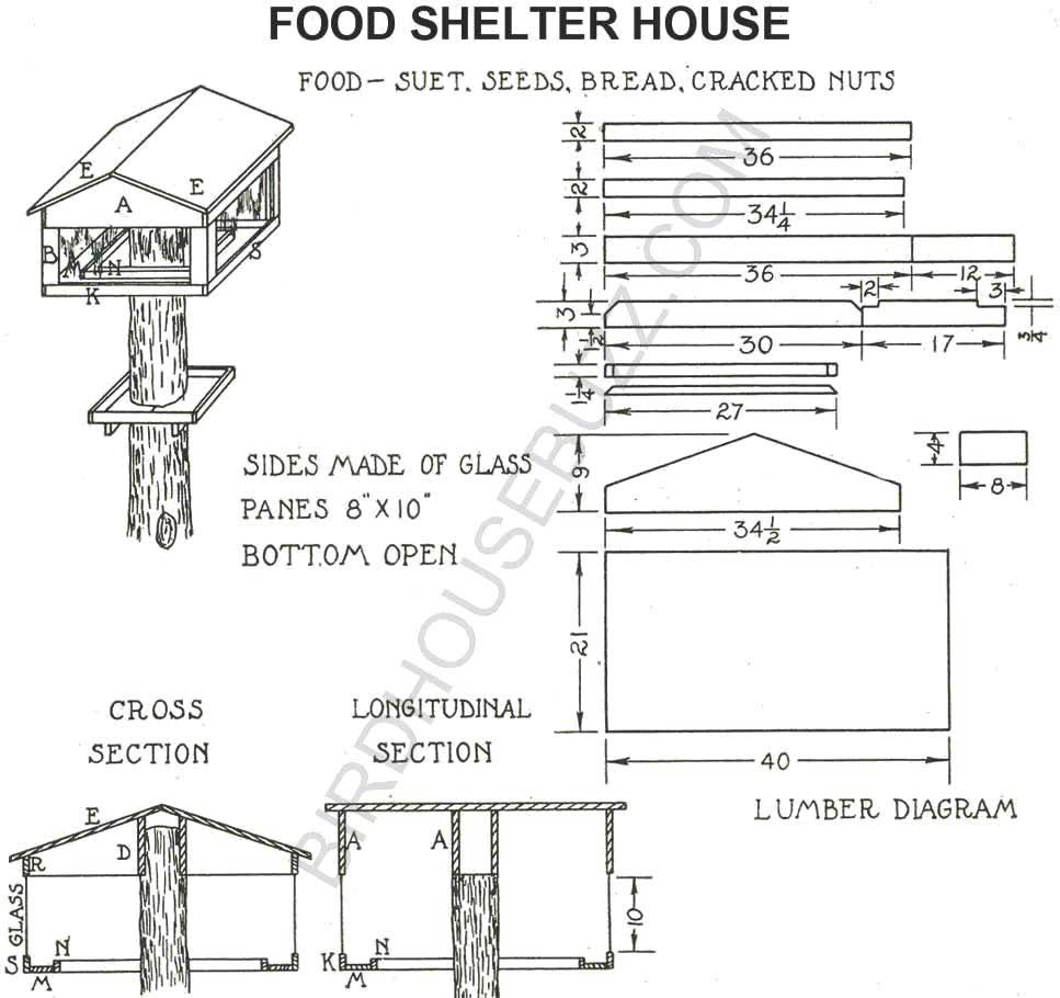 Bird Feeder Plans