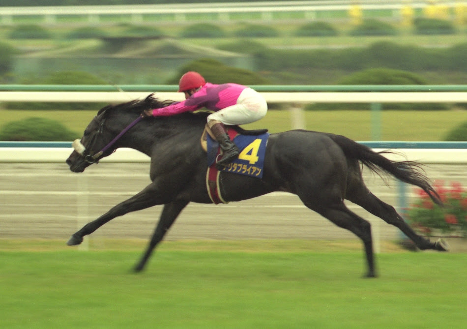 魅せる おまえら走るフォームが好きな馬 最強ギャンブル 投資総合まとめ 億り人