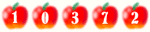 web site counter