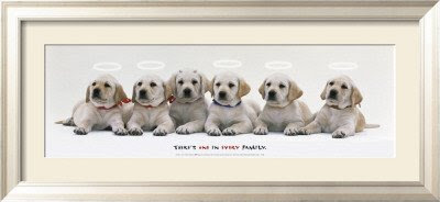 Every Family Framed Art Poster Print by Sekai Bunka, 45x21 