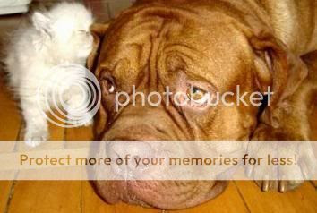 Photobucket - Video and Image Hosting
