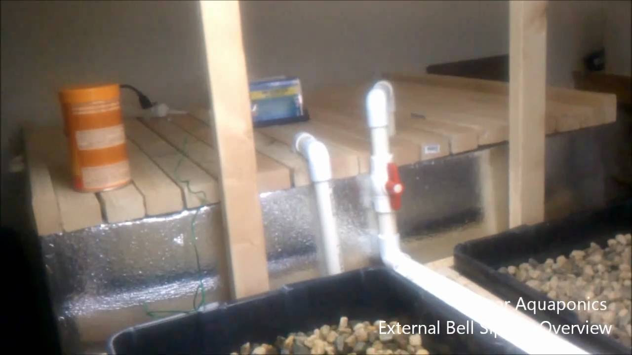 indoor aquaponics - external bell siphon overview theory