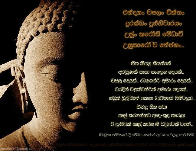 Image result for SINHALA quotes by lord buddha