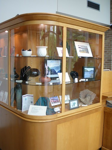 library display case May 2010
