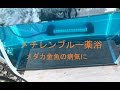 水カビ病 金魚 薬 500693-水カビ病 金魚 薬