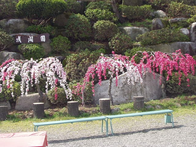 平成17年花見