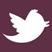 twitter-01