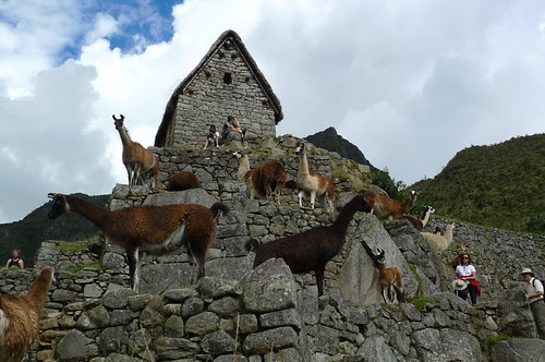 Machu Picchu, Peru