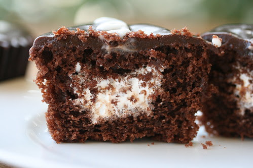Jumbo Cream-Filled Chocolate Cupcakes