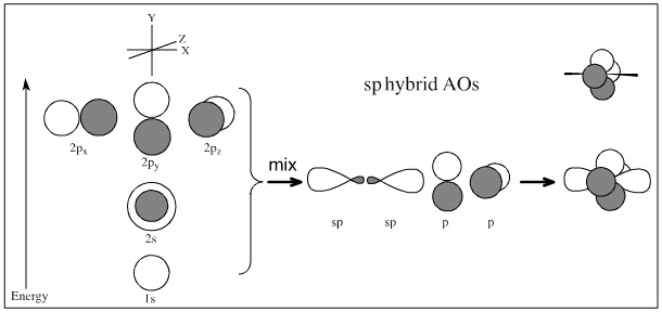 sp3, sp2 and sp hybridisation can be associated with carbon, nitrogen, 