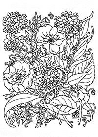 花 無料で印刷できる塗り絵
