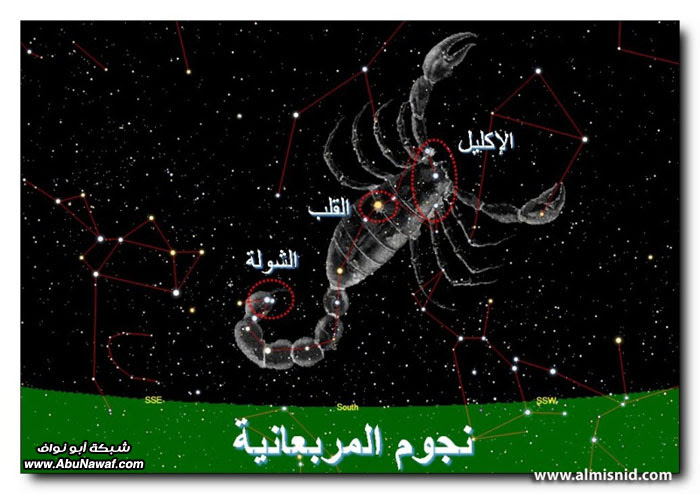 من حكايات الأدب العربي: أسطورة المربعانية‎