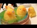 千と千尋の神隠し キャラクター ひよこ 332143-千と千尋の神隠し キャラクター ひよこ