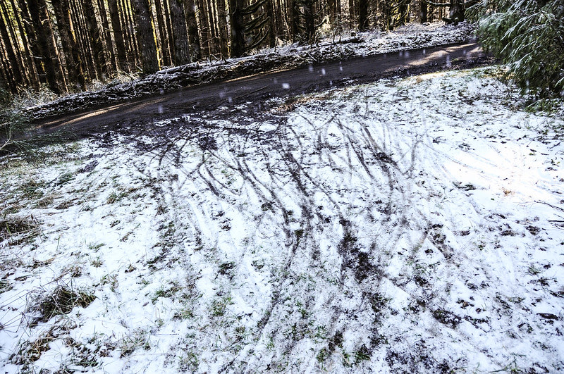 Timber Logjam-24.jpg