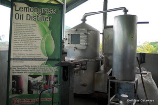 lemongrass-oil-distiller.jpg