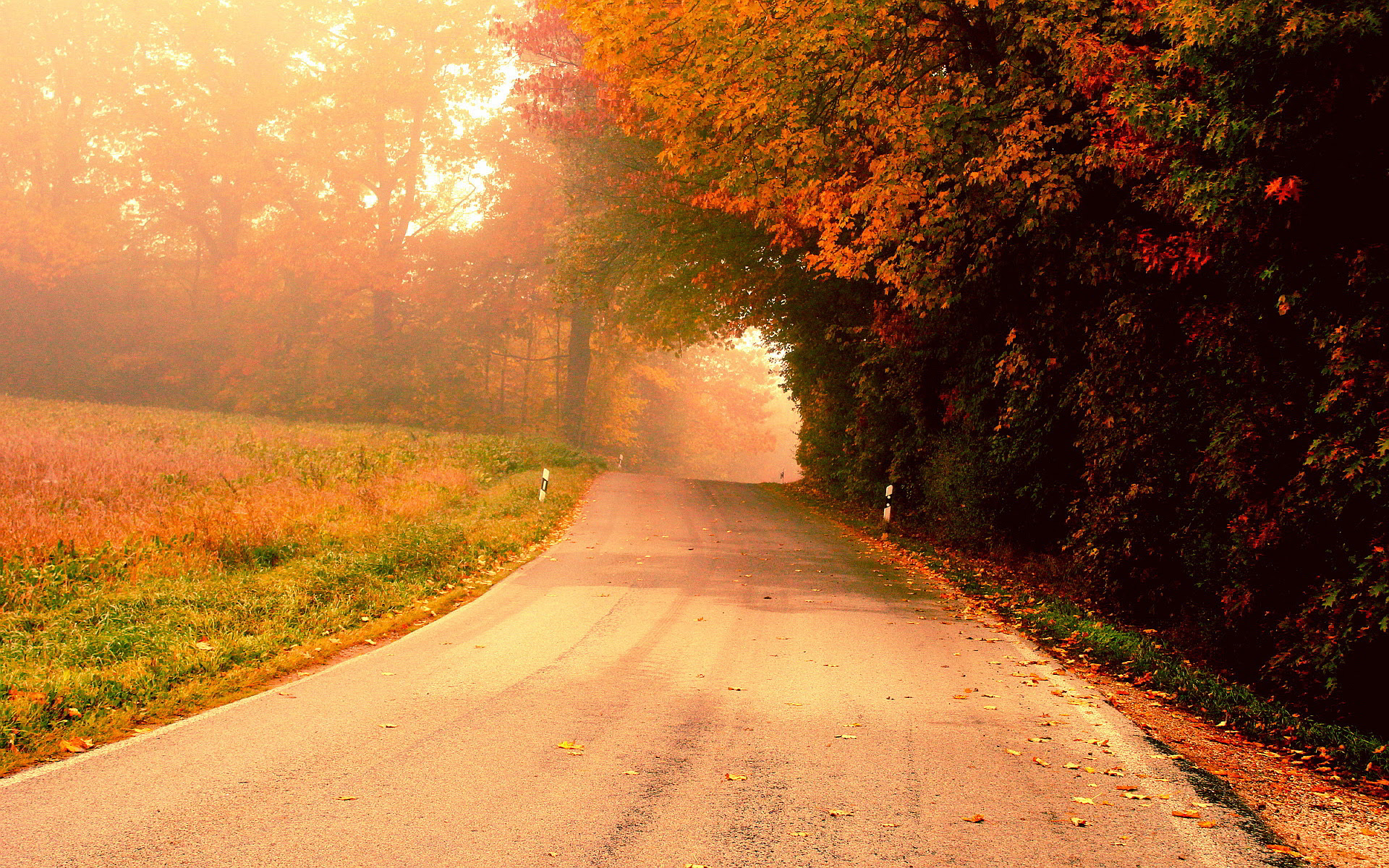 Fantastic Nature Background wallpaper | 1920x1200 | #27052