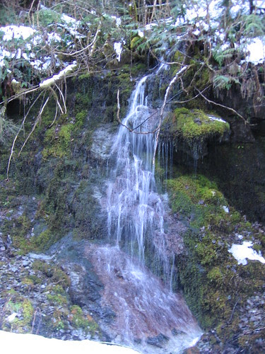 IMG_1234
