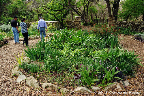 Garden plot tended by volunteers