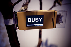 bu/sy