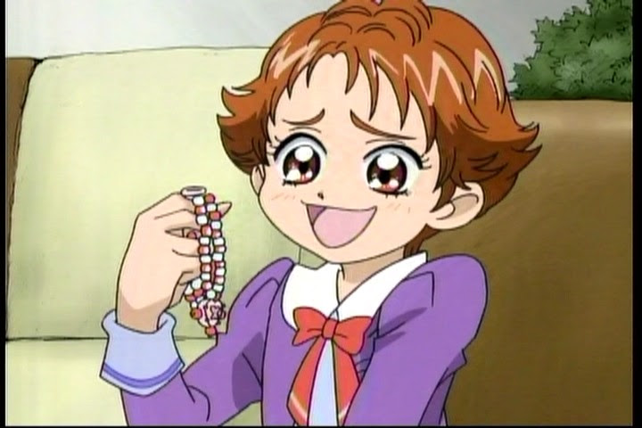 密室日記 Yes プリキュア5 第17話 純情乙女の恋物語