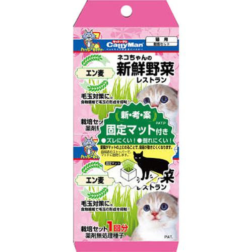 猫がビニール袋をなめる 噛む理由と食べてしまった時の対処法は