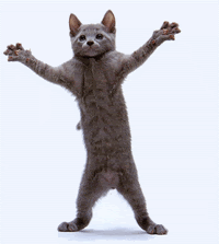 funny gifs