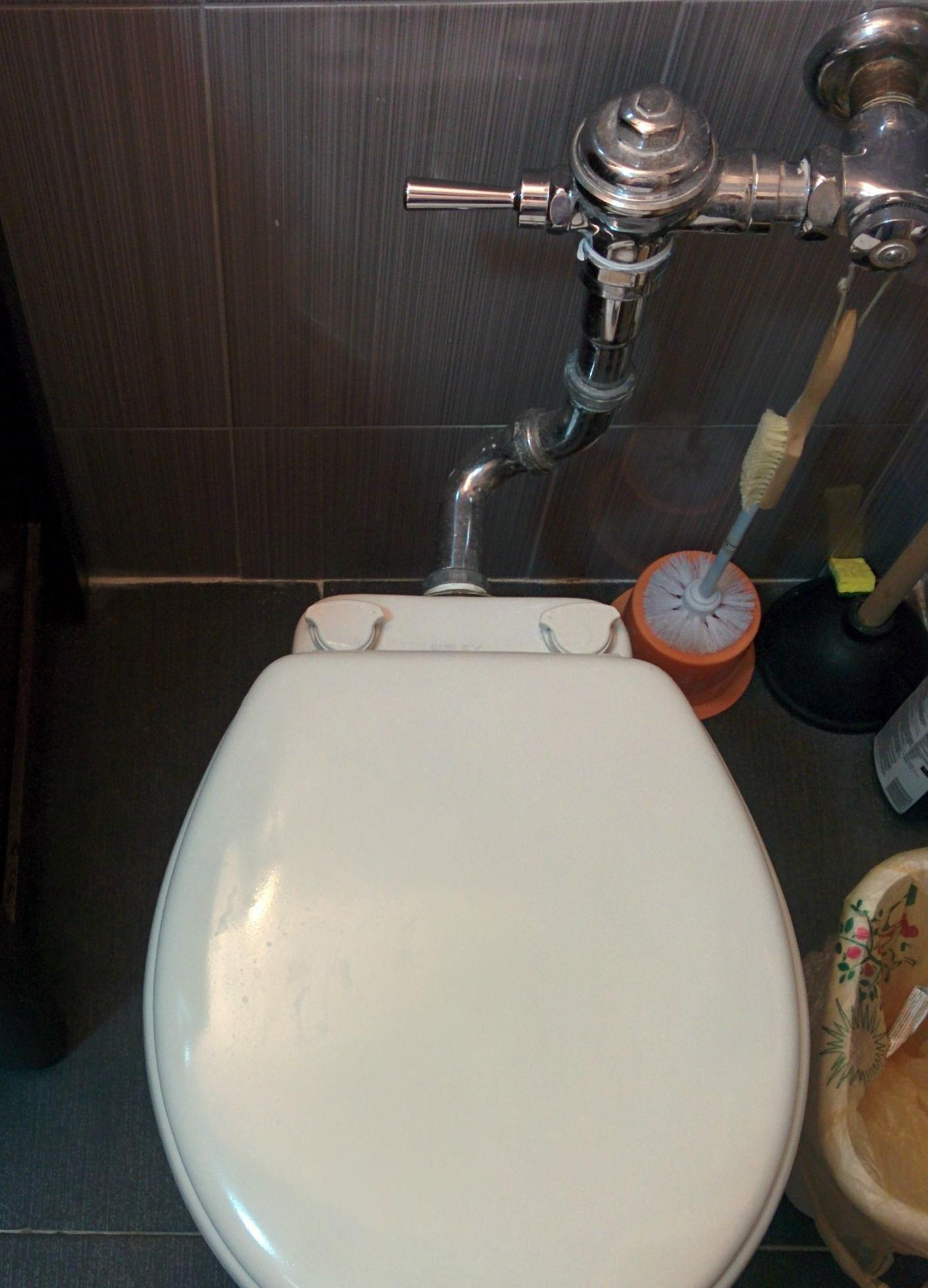 How can I mercial toilet for home middle class Home Depot