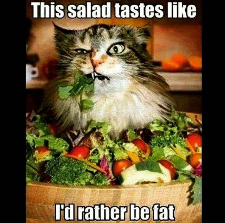 http://www.fitnessandpower.com/wp-content/uploads/2015/11/diet-cat.jpg