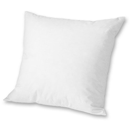 Eddie Bauer Down Pillow Insert 16x16, White ONESZE On Sale