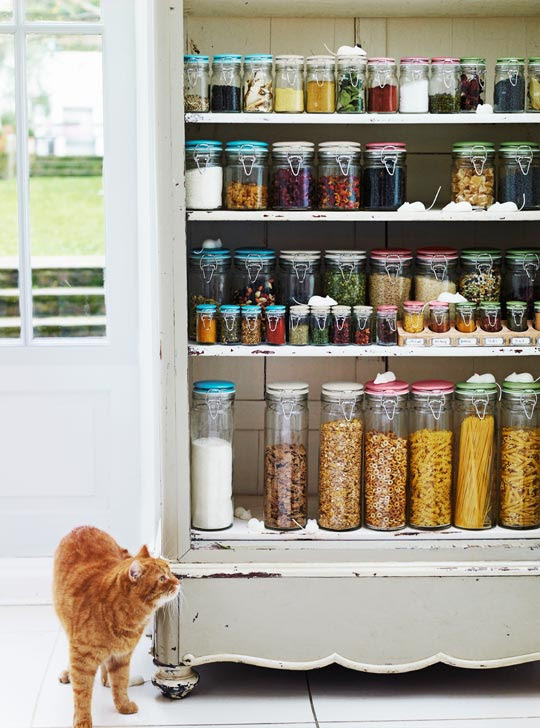 extreme couponing jaime. It shows off Jamie Oliver#39;s