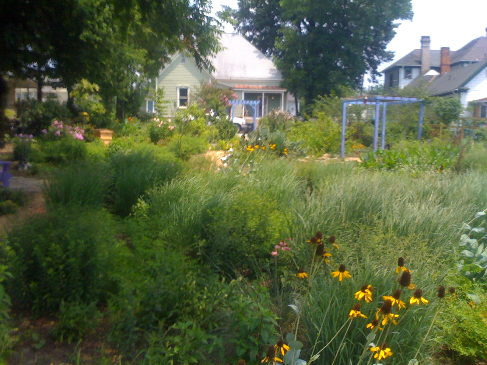 native garden gardenenvironments