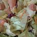 Recipe: Perfect Hotdogs and salad