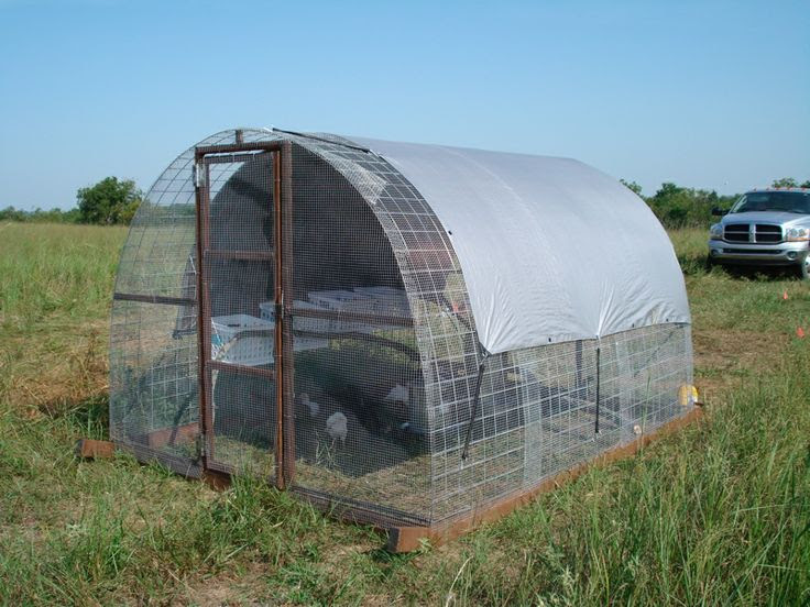 Denny Yam: Chicken coop plans alberta