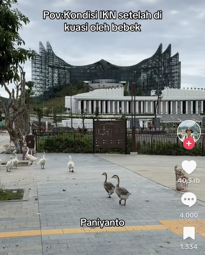 IKN Terancam Mangkrak, Video Bebek Jadi Sorotan Warganet