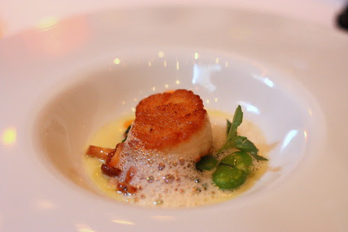 hokkaido sea scallops