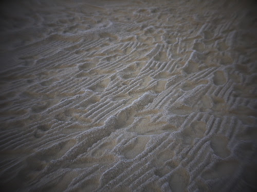 _1272850