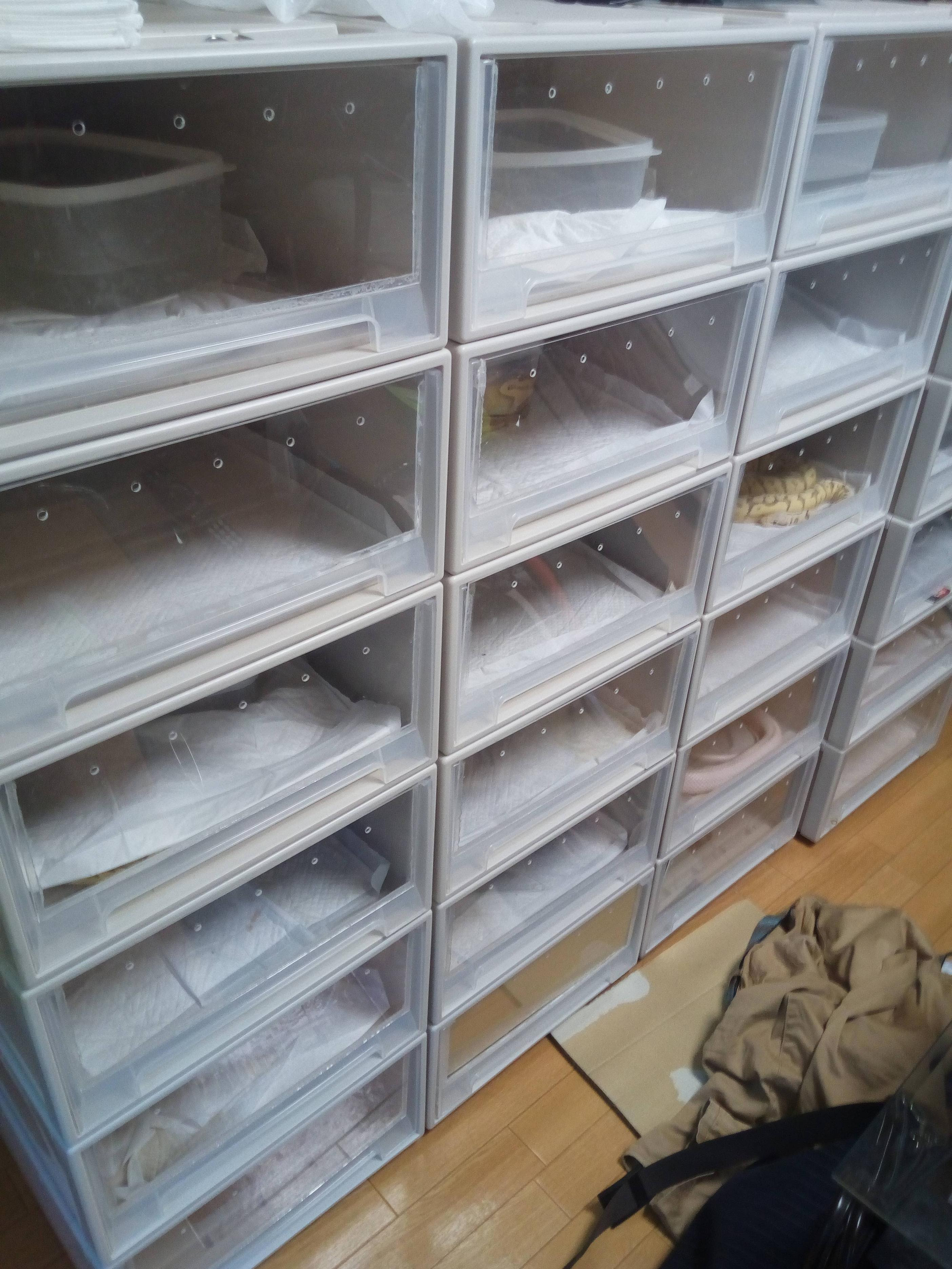 薬理学 中絶 知っているに立ち寄る ボール パイソン 衣装 ケース Kimono Oteire Jp