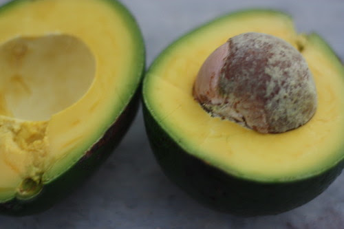 avocado