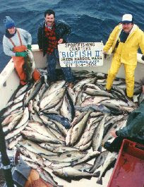 Deep  Fishing Boston Massachusetts on Tuna Fish Cod Fish Shark Pictures